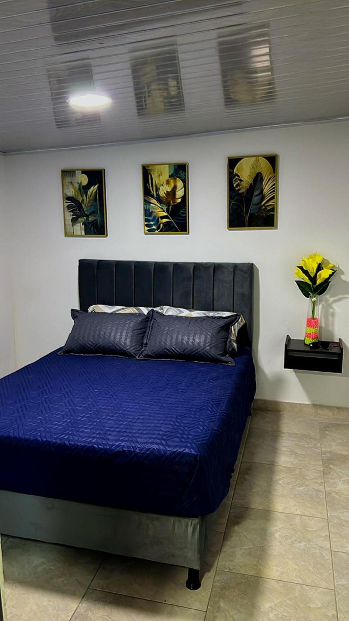 Loft Ii